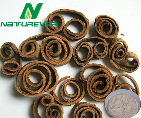 Magnolia Bark Extract