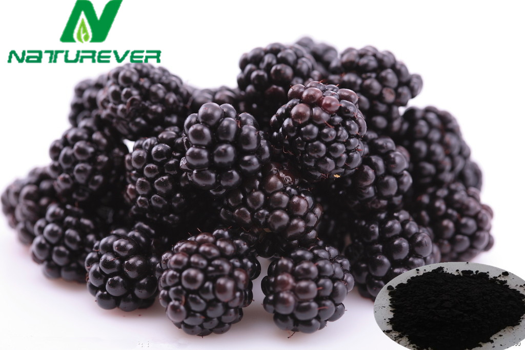 Mulberry Fruit Extract
