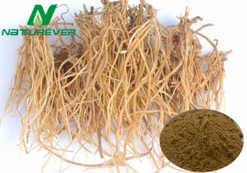 Gentian Root Extract