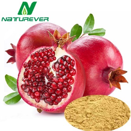 Pomegranate Seed Oil