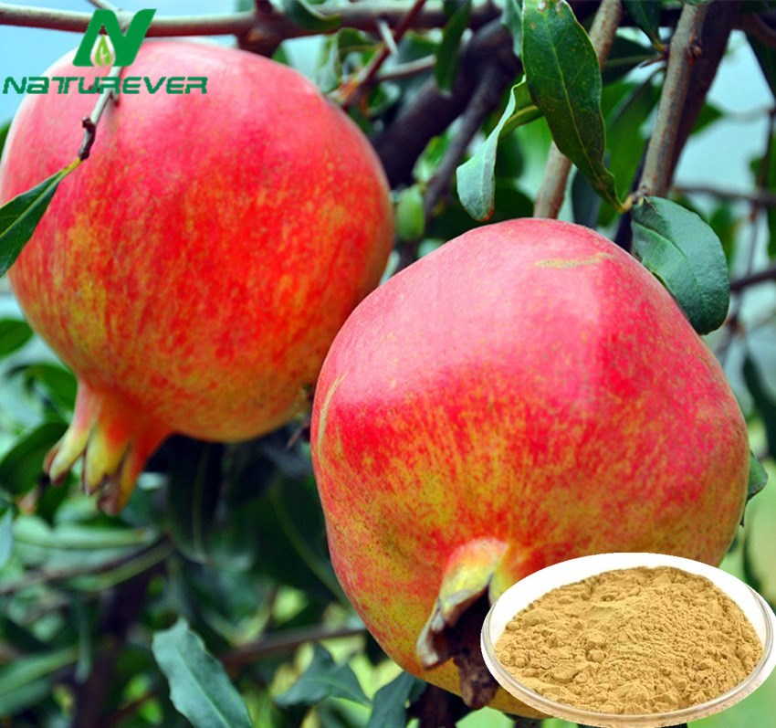 Pomegranate Hull Extract