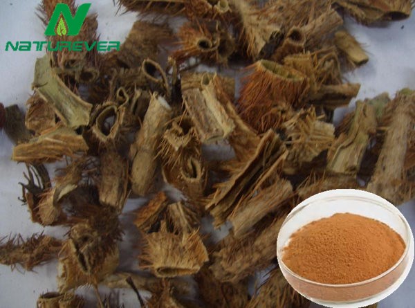 Siberian Ginseng Extract