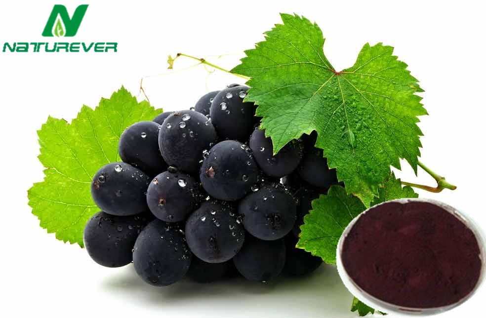 Grape Seed Extract