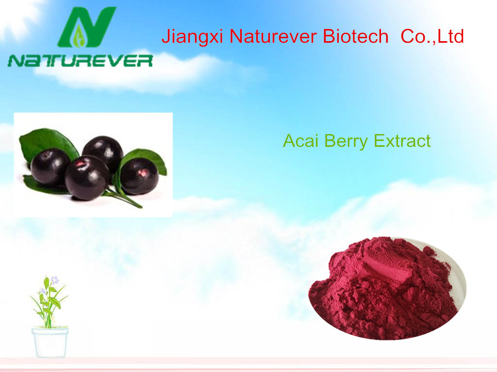 Acai berry Extract