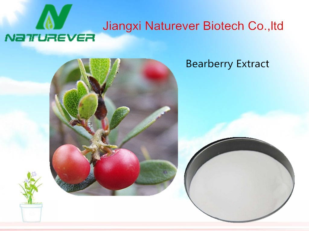 Bearberry Extract