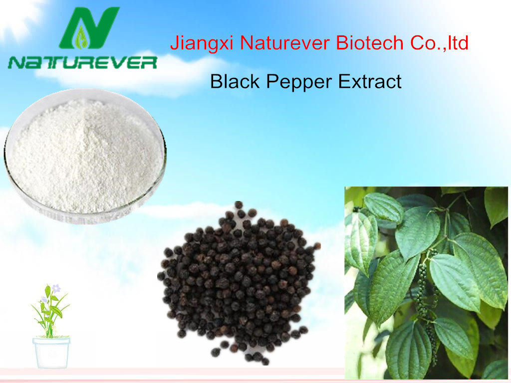 Black Pepper Extract