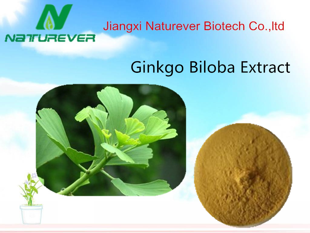 Ginkgo Biloba extract