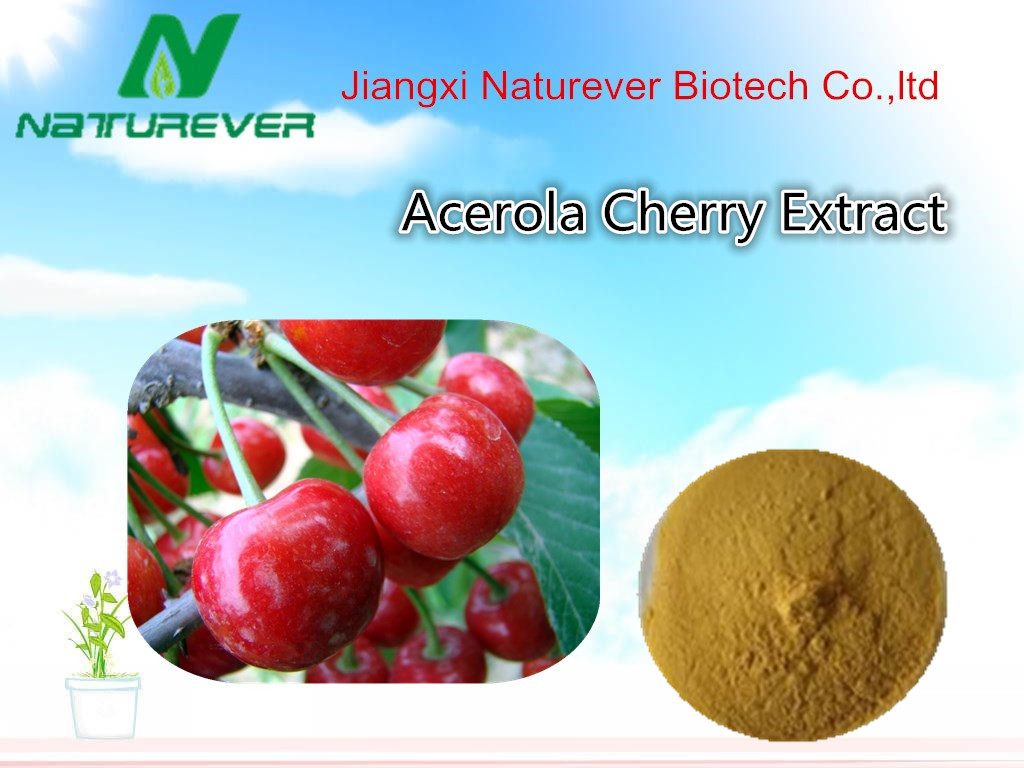 Acerola Cherry Extract