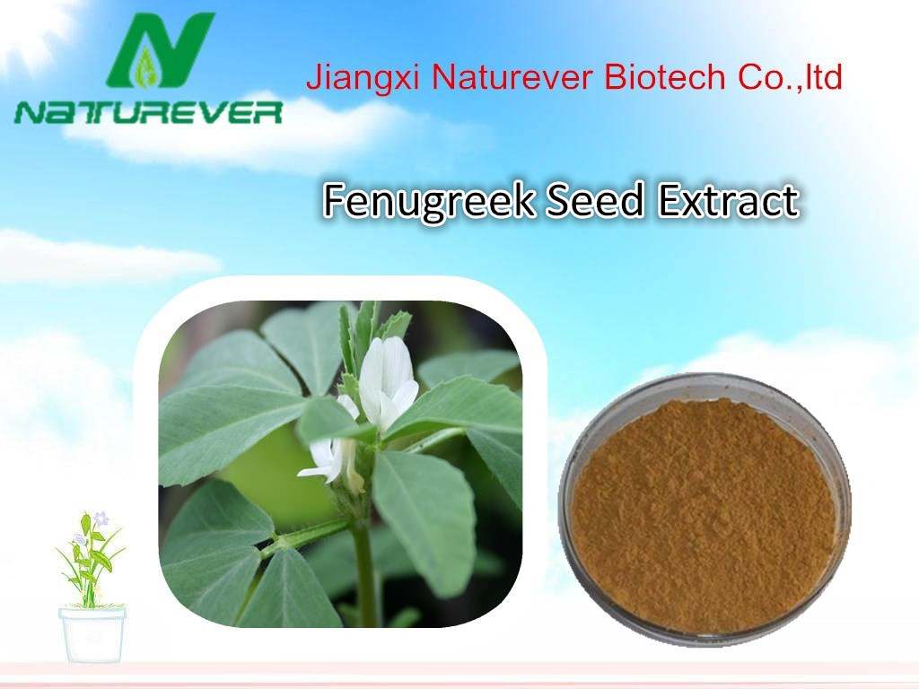 Fenugreek Extract