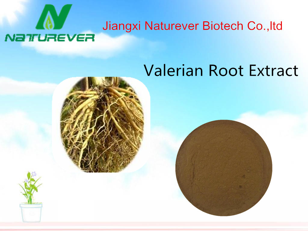 Valerian Root Extract