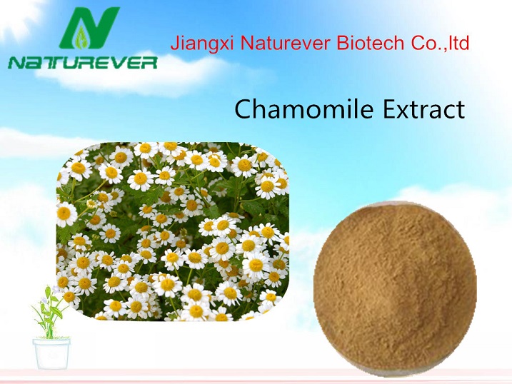 Chamomile Extract