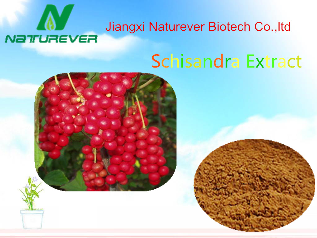 Schisandra Chinensis Extract