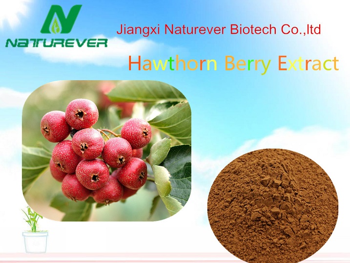 Hawthorn Extract