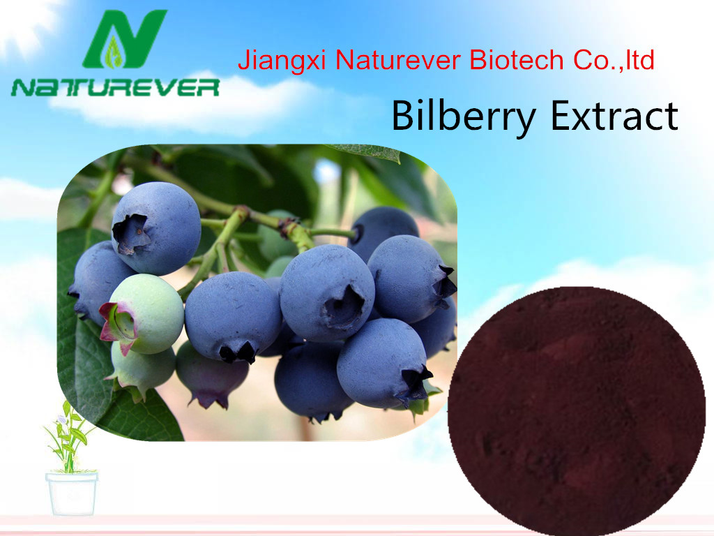 Bilberry Extract