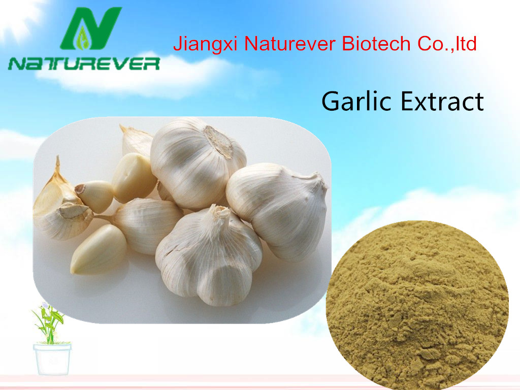 Garlic Extract