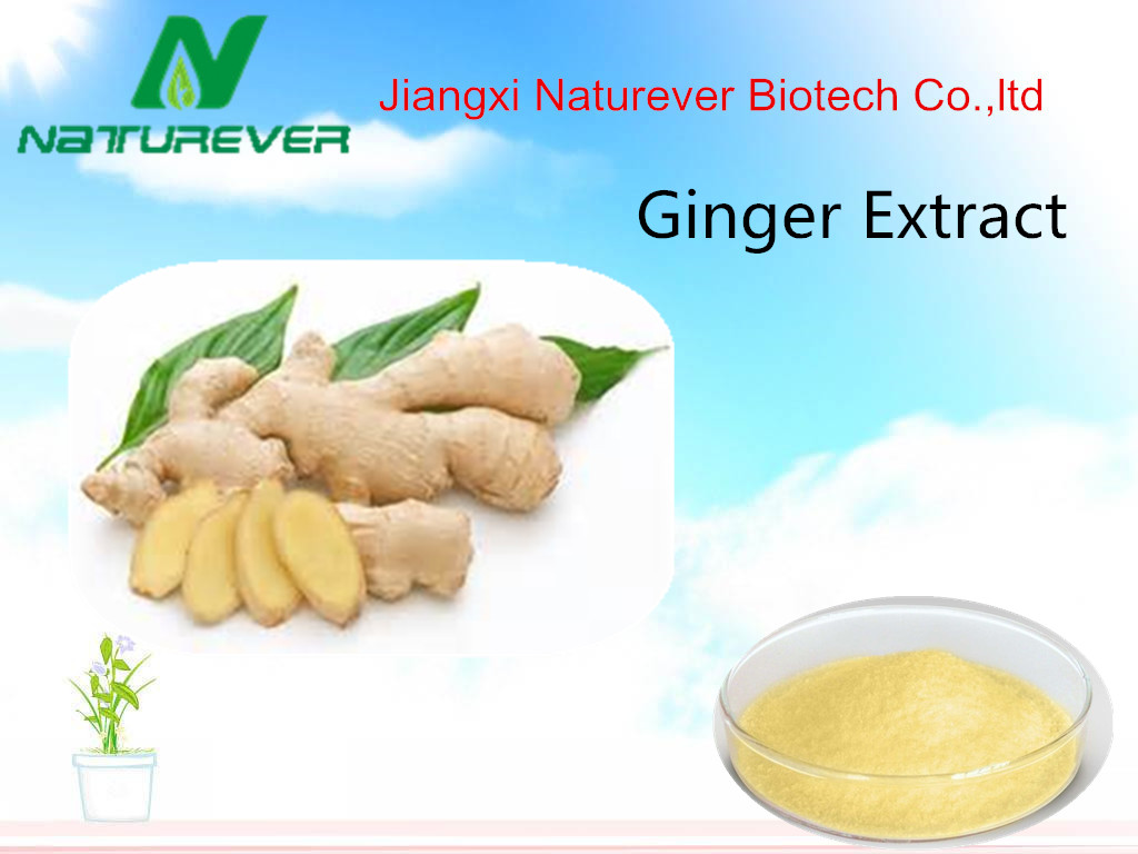 Ginger Extract