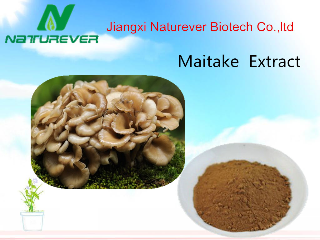 Maiitake Mushroom Extract