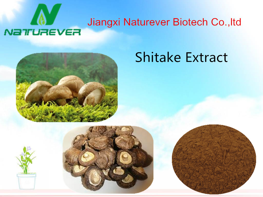 Shitake Mushroom Extract