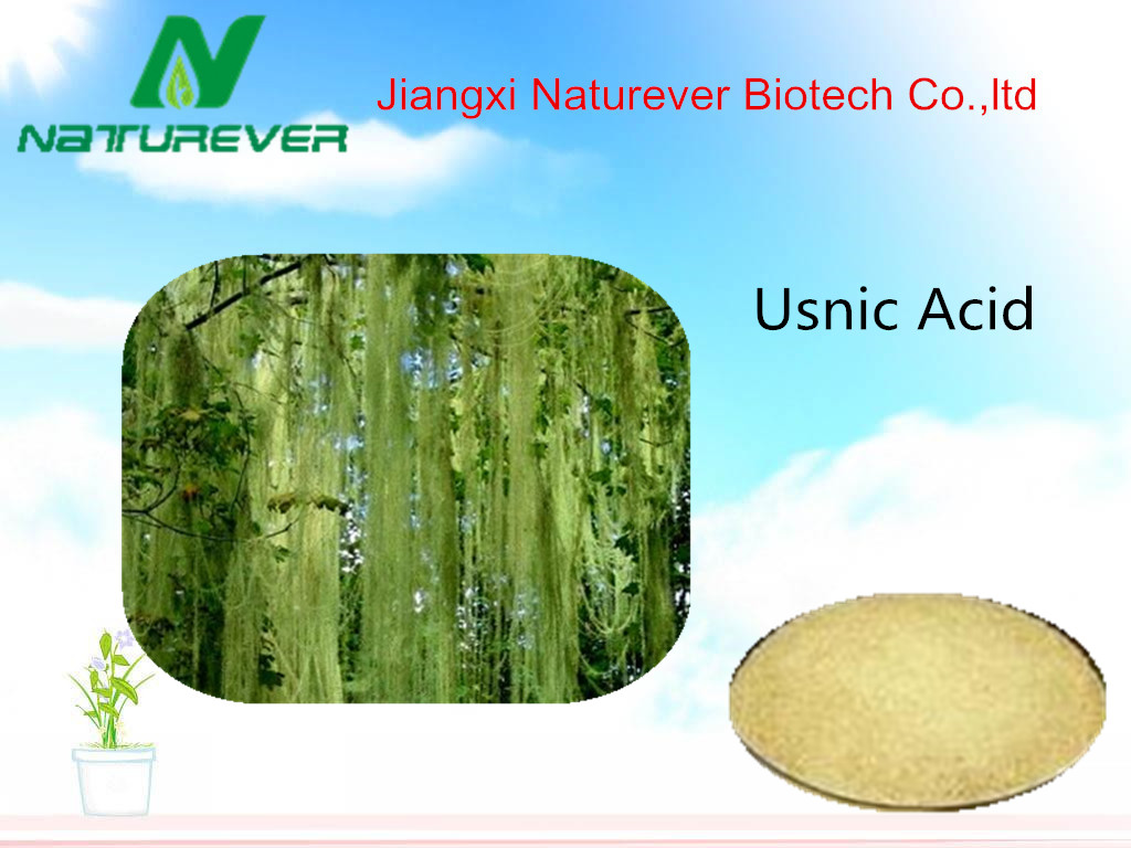 Usnic Acid