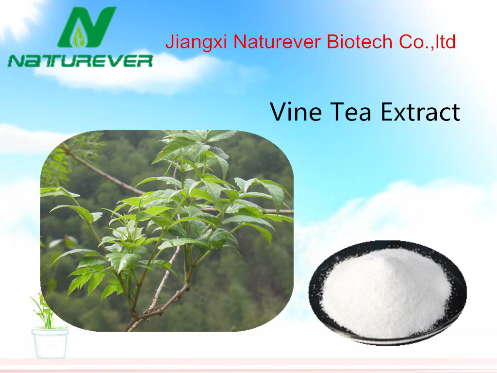 Vine Tea Extract
