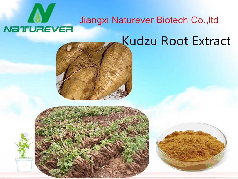 Kudzuvine Root Extract