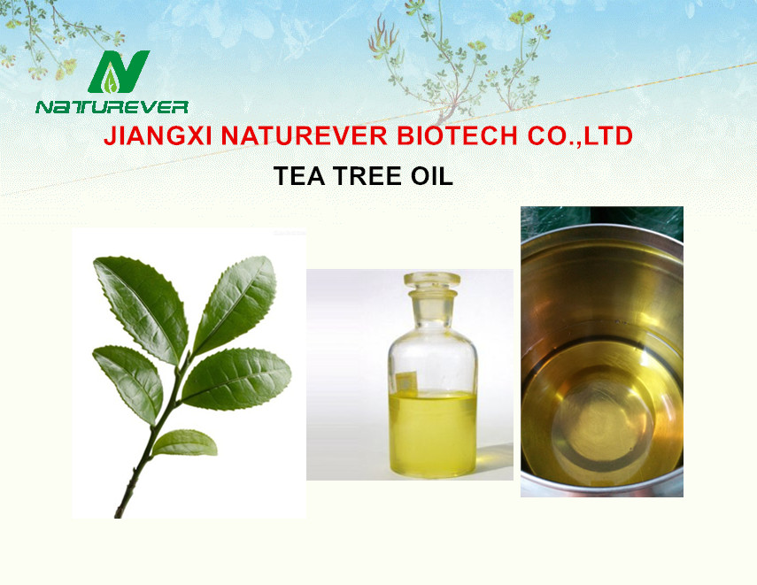 TEA TREE OIL