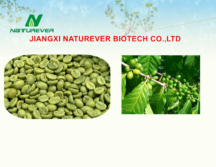 GREEN COFFEE BEAN EXTRACT