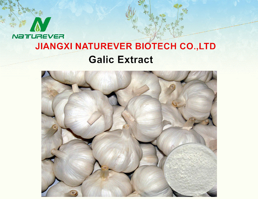Garlic Extract