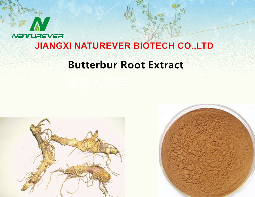 Butterbur Extract