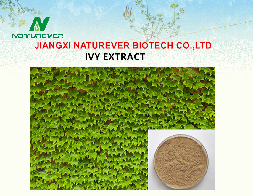 Ivy Extract