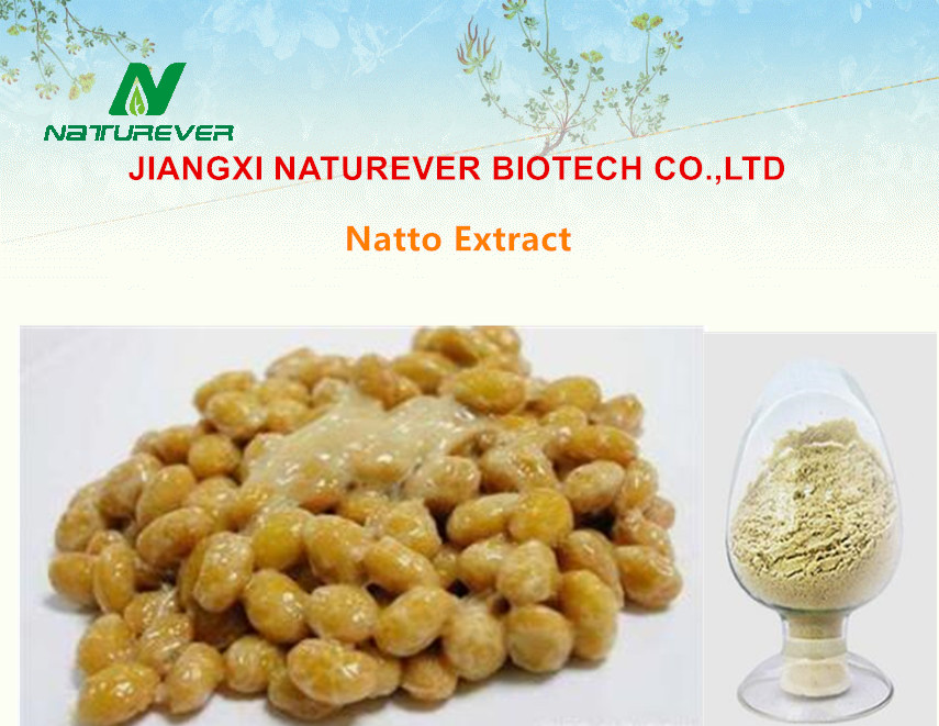 Natto Extract