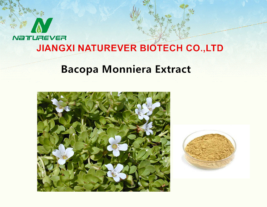 Bacopa Extract