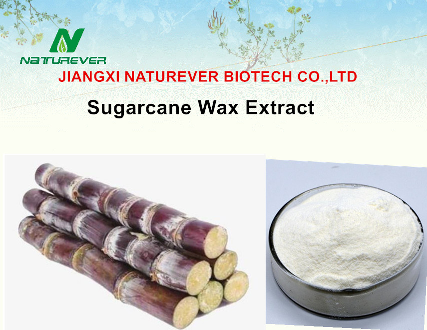 Sugarcane Wax Extract/Octacosanol